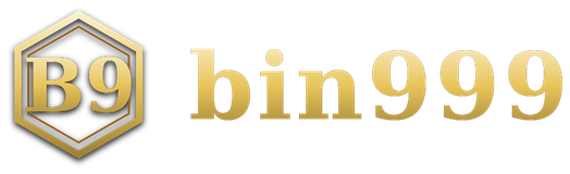 bin999 logo